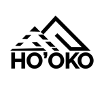 logoV4noir