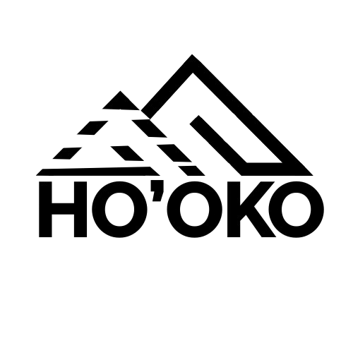 logoV4noir